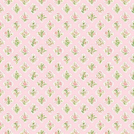 Anne's Arbor Coral Pink