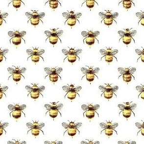 Bees 39