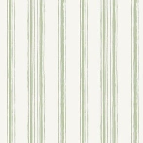 Canterville Stripe Sage