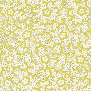 Coral Floral Dotted Citron