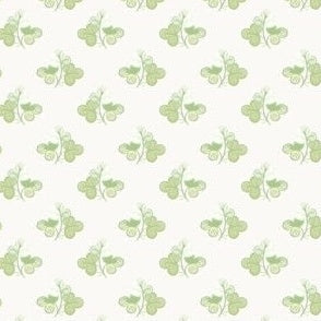 French Clover Pear