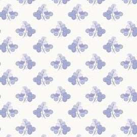 French Clover Periwinkle