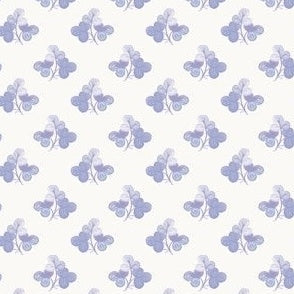 French Clover Periwinkle