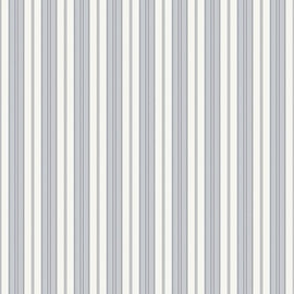 Glenwood Stripe Gray Blue