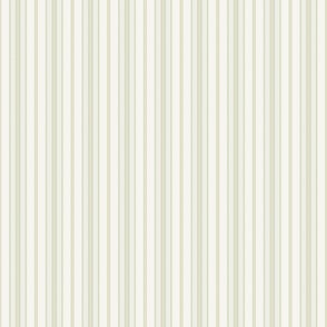 Glenwood Stripe Olive Pear