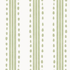 Hand Drawn Ticking Olive