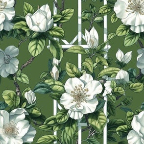 Magnolia Olive
