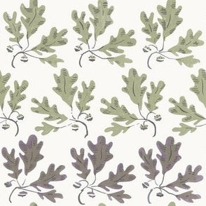 Oak Lane Olive 12