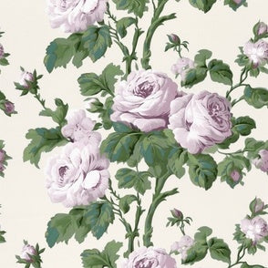 Regency Rose Mayve