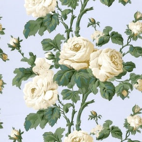 Regency Rose on Snowflake
