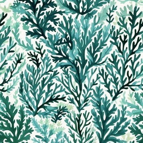 Water Coral Caribbean