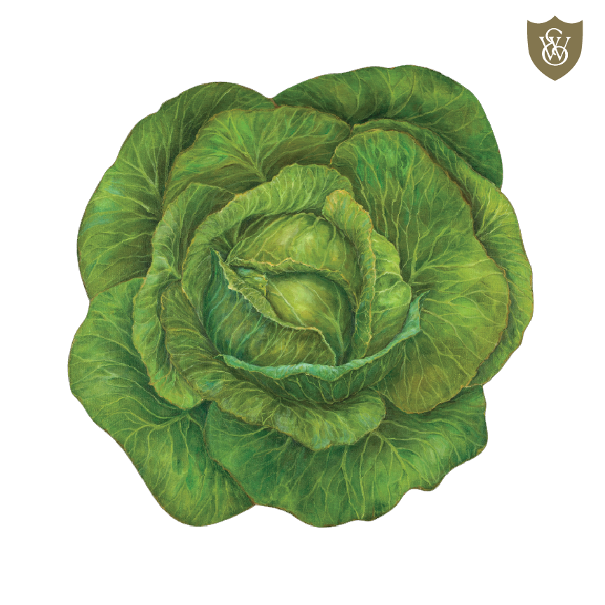 Placemat • Cabbage Paper (12)